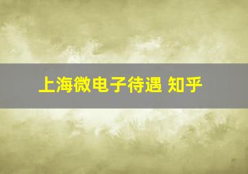 上海微电子待遇 知乎